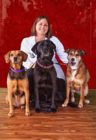 Julie Mears, DVM, is a Veterinarian at the Troy IL Veterinary Clinic